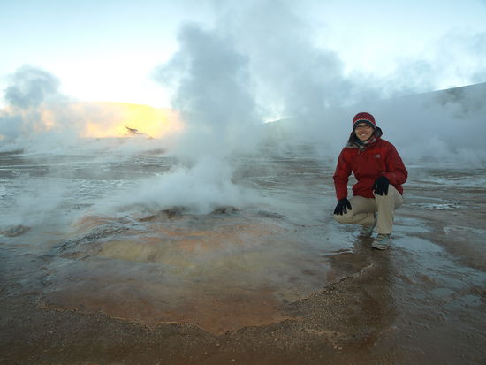 Wenn einen die Arbeit einholt ... Die Bakterien, die in den 80 Grad heissen Geysiren leben, werden im Labor zur Vervielfaeltigung von DNA eingesetzt (oder genauer: deren Enzyme).