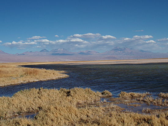 Wunderschoene Landschaft rund um die Laguna Cejas.