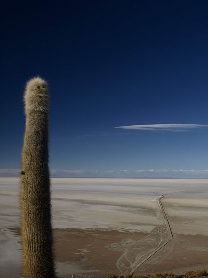 Ausblick auf die Salzwueste
