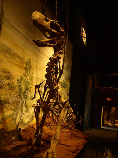 Nennen wir ihn einfach "grosser Urvogel"