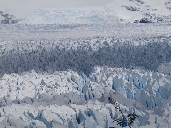 Der Gletscher ist ca 60 km lang und ca 60 Meter hoch!!