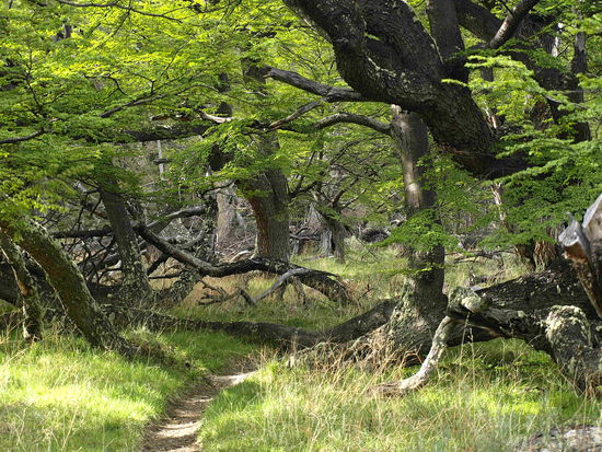 ... die wie Kulissen fuer den Film "Herr der Ringe" wirken.