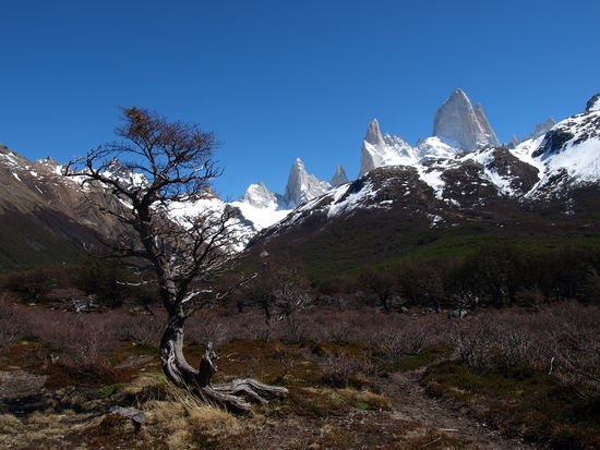 Hier ist wirklich der Weg das Ziel!