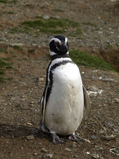 Ein stolzes Kerlchen.