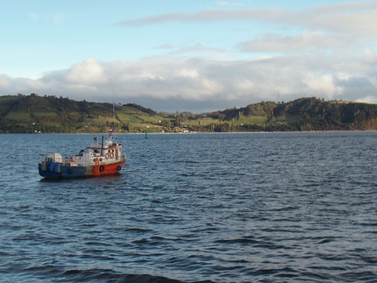 Eine Bucht bei Castro, der Haupstadt von Chiloe.