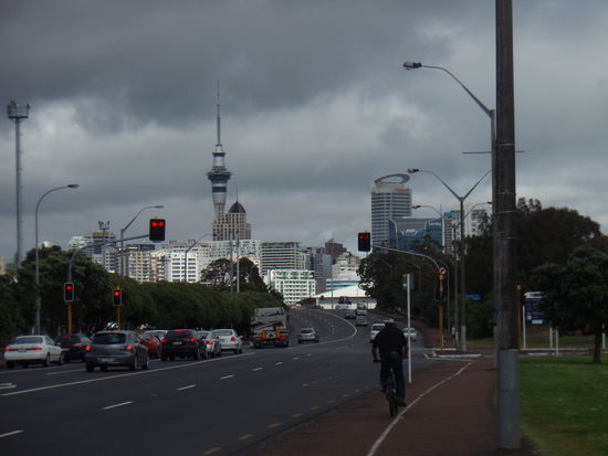 Skyline mit dem Skytower, dem Wahrzeichen der Stadt.