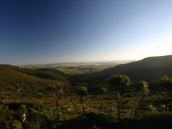 Wenn man mal genug von Meer und Strand gesehen hat braucht man sich nur umdrehen 