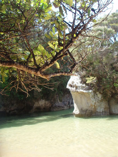 Unsere "Mittagsbucht".