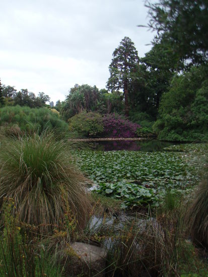 Botanical Gardens