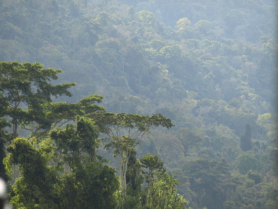 Man fuehlt sich wie in einer "Universum"-Folge.