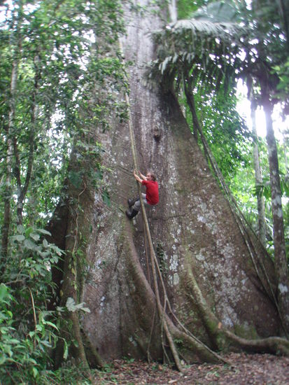 Es gibt IMMER was zum Klettern!