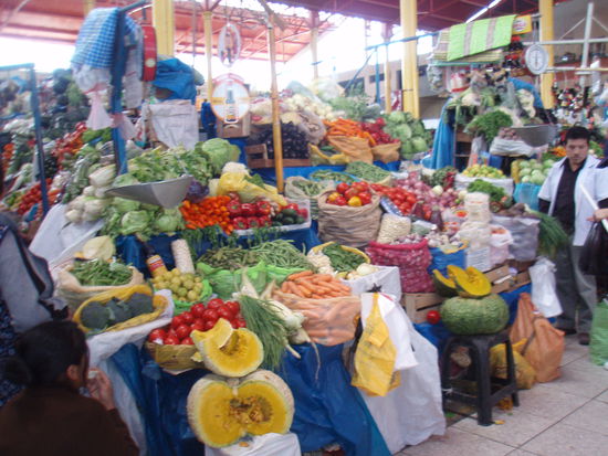 Viele tolle Gemuesesorten.