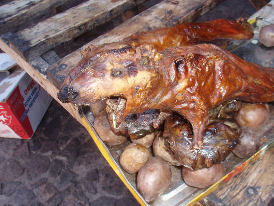 Meerschweinchen danach.