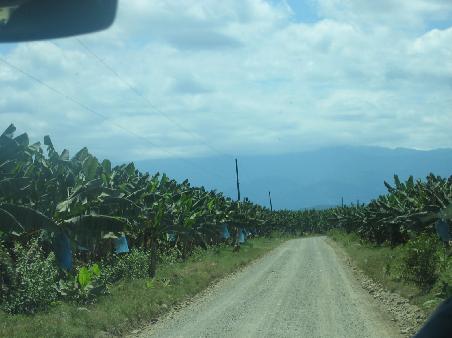 Die Banananplantagen
WICHTIG: HIER IN COSTA RICA (WAHRSCHEINLICH AUCH IN VENEZUELA) FUNKTIONIEREN DIE NATELS NICHT.