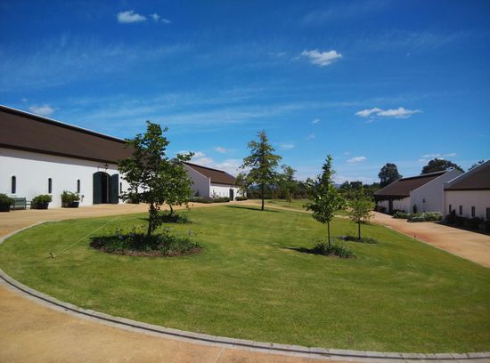 Am 2. Tag besuchte ich das Moto Museum in Franschhoek. Für Motorliebhaber eine schöne Abwechslung. Hier können ebenfalls Wein-Produkte von der Weinfarm Antonij Rupert erworben werden.
Motor Museum
Motor Museum Gallery
Hier ein kleiner Vorgeschmack aus dem Motor Museum
In diesen vier Hallen stehen die wunderschöne Fahrzeuge