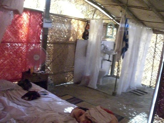 ..da jeder von uns sich den Magen verdorben hat und 1-2 Tage mit Fieber im Bett verbracht hat.