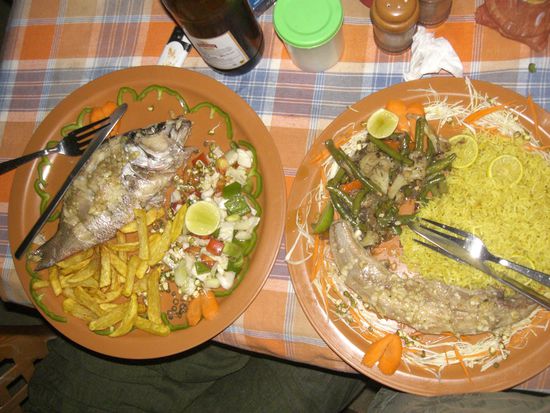 wir haben uns fuer den red snaper und den Hai entschieden  LECKER