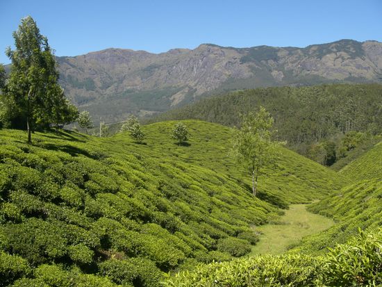 die Berge im Hintergrund reichen bis 2900m