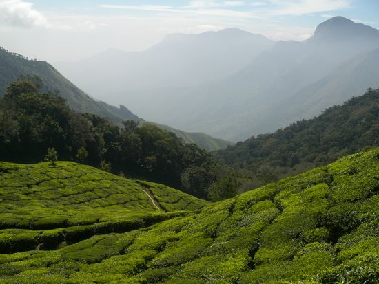 auf 2000m hat man eine Fernsicht bis in den Nachbarbundesstaat