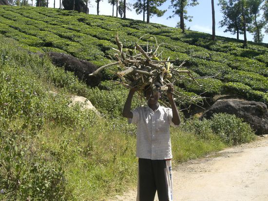 auch hier wissen die Menschen zu schaetzen was die Natur ihnen bietet