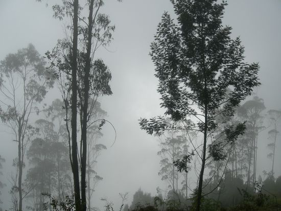beim wandern wurden wir von einer Nebelfront ueberrascht...