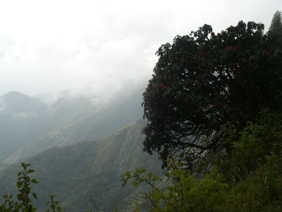 mal was anderes als die langweilige Weitsicht 