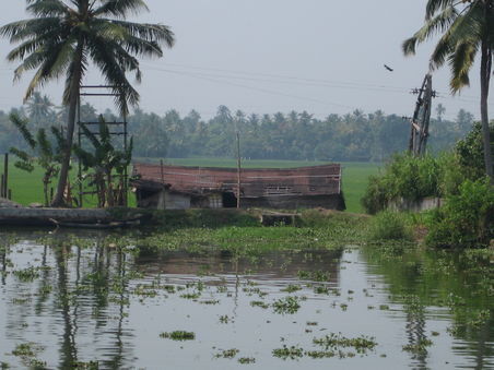 waehrend der langsamen Fahrt hatten wir viel Zeit um die wunderschoene Landschaft der backwaters zu sehen