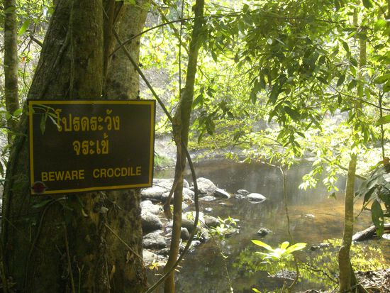 Trotz der wilden Tiere konnten wir ohne Guide losziehen,