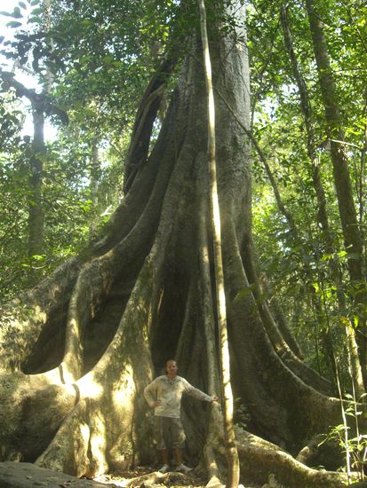 haben uns allerdings einmal maechtig im Dschungel verlaufen 