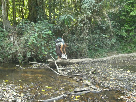 aber sieht das hier aus wie ein Wanderweg??