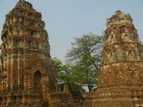 Ayuttaya- nach so viel Natur im Khao Yai NP war es Zeit fuer Kultur..