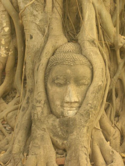 Wielang er hier wohl schon liegt..??