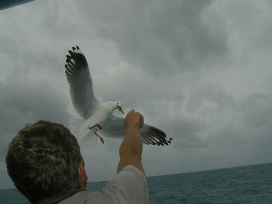 unterwegs sind Voegel mit uns geflogen und haben uns aus der Hand gefressen