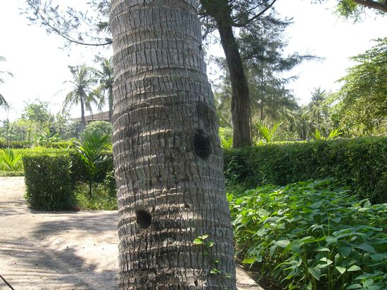 hier sieht man noch Einschussloecher von damals