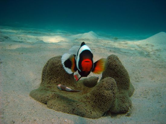 "Ach sooo - in die Kamera schauen!" 