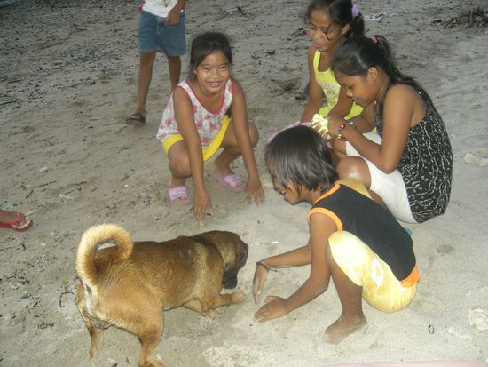 Abends spielen die Kinder mit den Hunden am Strand...