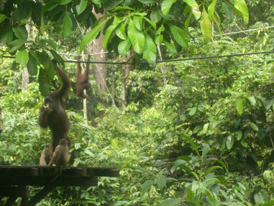 hier unsere Geschwister und Muetter... 