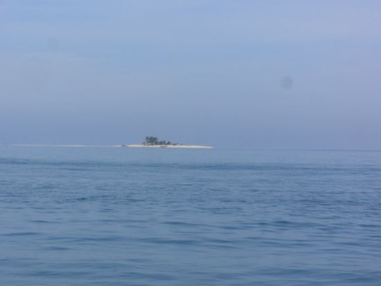 Bilderbuch Insel, oder?