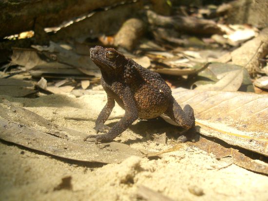 Unterwegs konnten wir viele Tiere sehen
