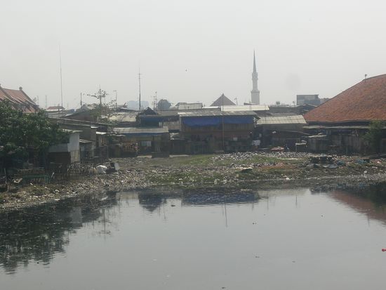 ausserhalb der asiatischen Innenstaedte: vermuellte Fluesse und gleichzeitig Wohngegend.