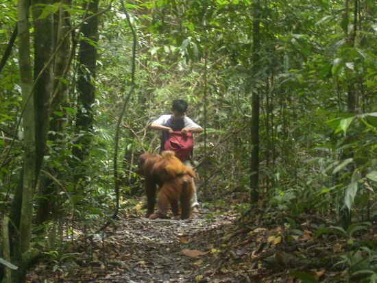 sie war ja auch nicht bloed, sie wusste genau dass da Essen drin ist
