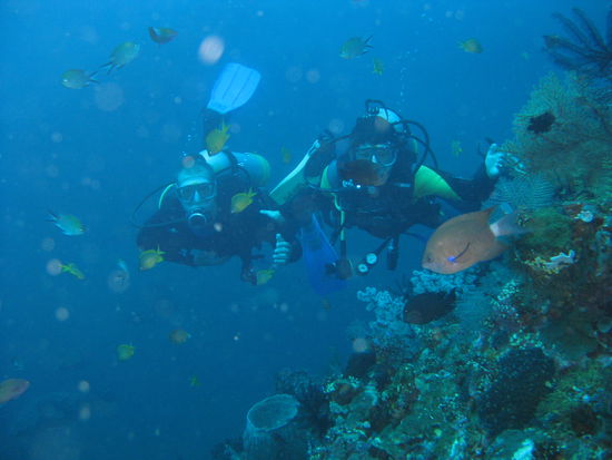 nein, rechts von uns ist kein Meeresboden sondern das stark bewachsene Wrack...