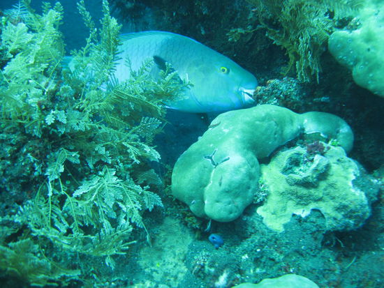 was natuerlich auch sehr viele Fische mit sich bringt...