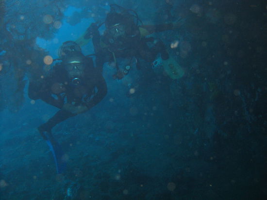 an mehreren Stellen konnten wir hinein- oder hindurch tauchen