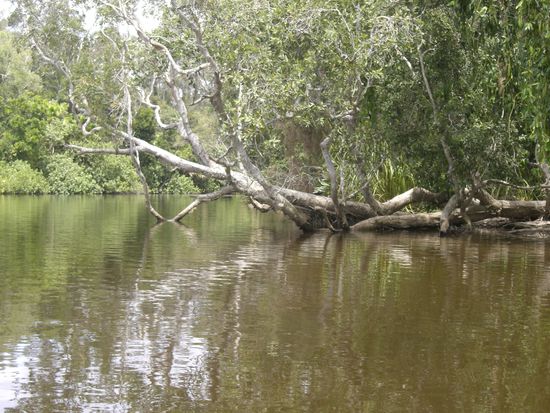 Bei Regen war der Fluss total schwarz und unheimlich