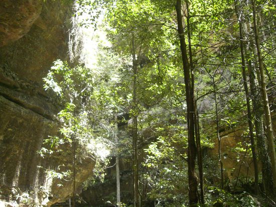 ..bis ganz hinab in die Schlucht.