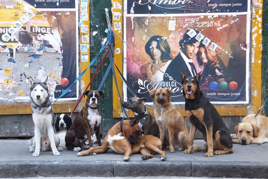 irgendwo in Buenos Aires