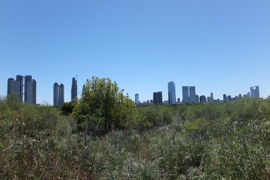 Buenos Aires - eine Metropole mit viel Grün