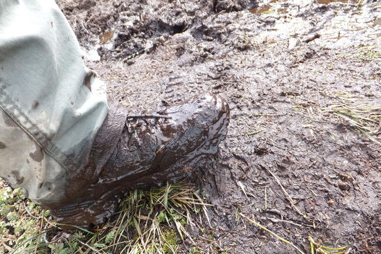 Schuhe färben leicht gemacht 