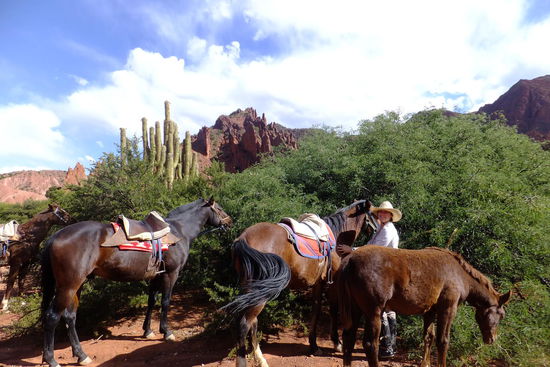 im Umland von Tupiza (auf 2.950 m), kleiner Reitausflug